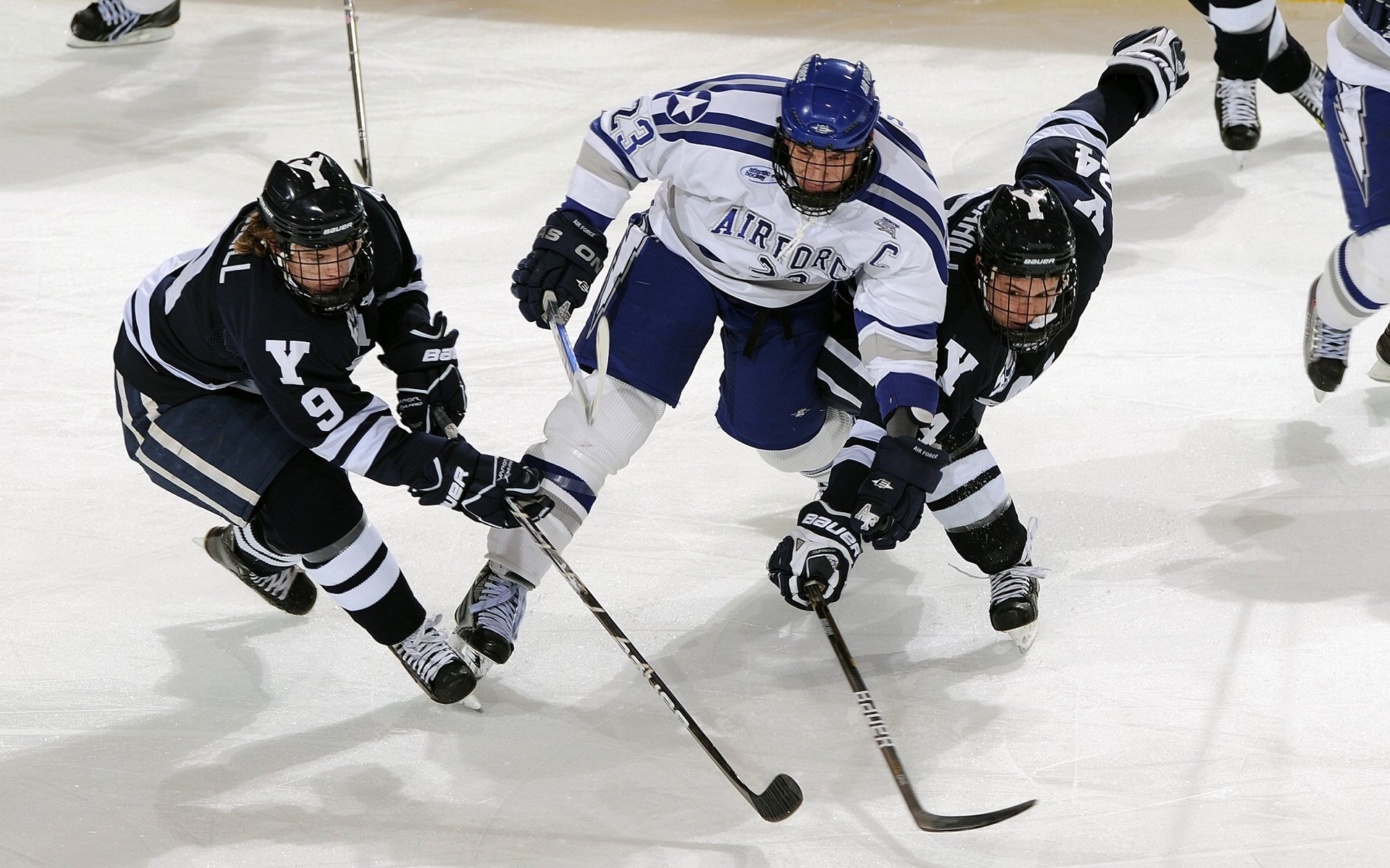 希腊女队自由泳爆发力惊艳全场，希腊女子花样游泳队